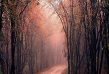 顶尖球队实力飙升欲夺冠军头衔