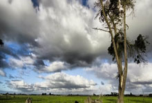 AC米兰逆转击败帕尔马，争夺卫冕再多一分