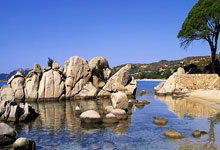 马德里竞技大胜，重回联赛争冠